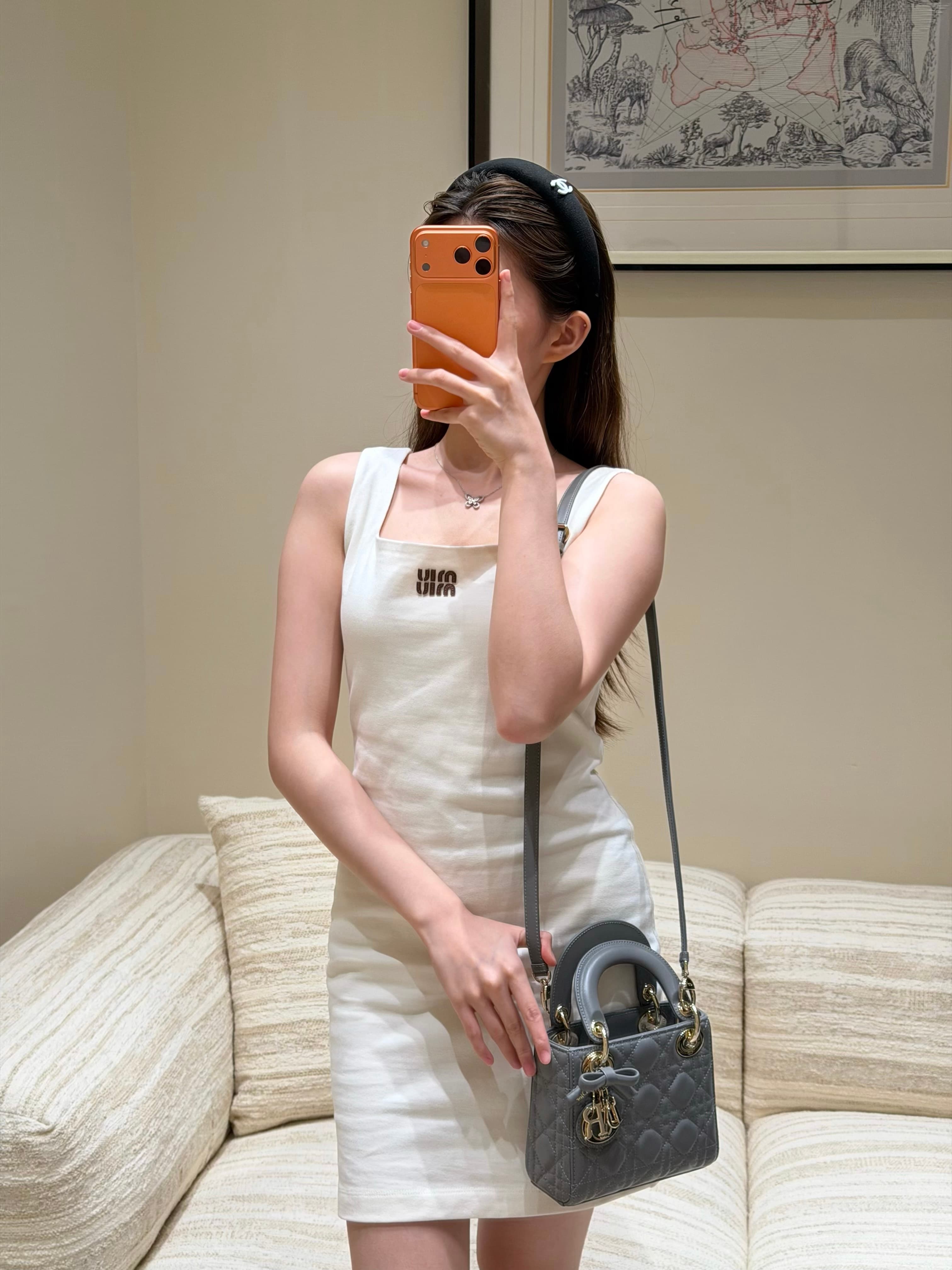 디올 레이디 다이애나 보우 시리즈 그레이