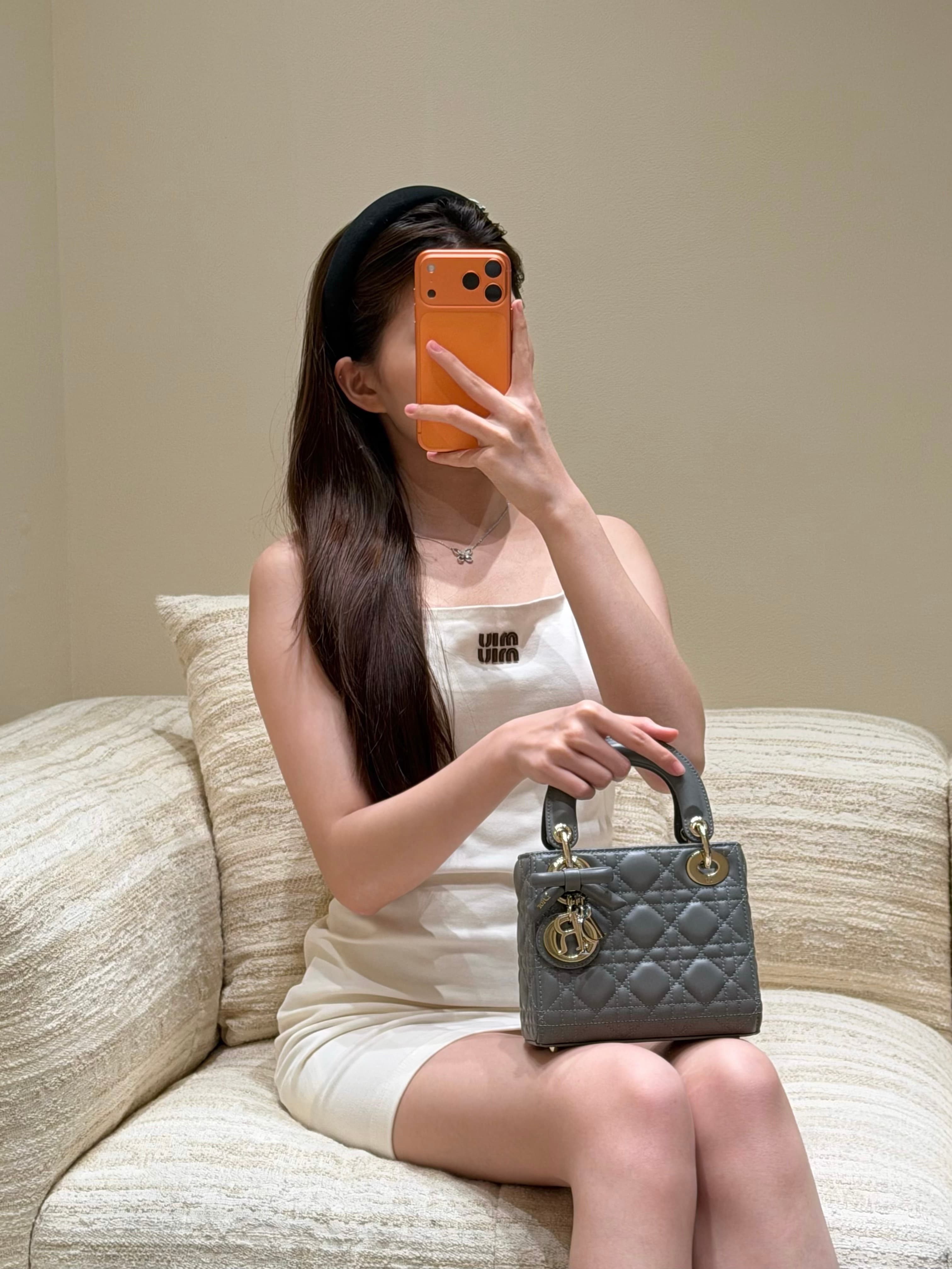 디올 레이디 다이애나 보우 시리즈 그레이