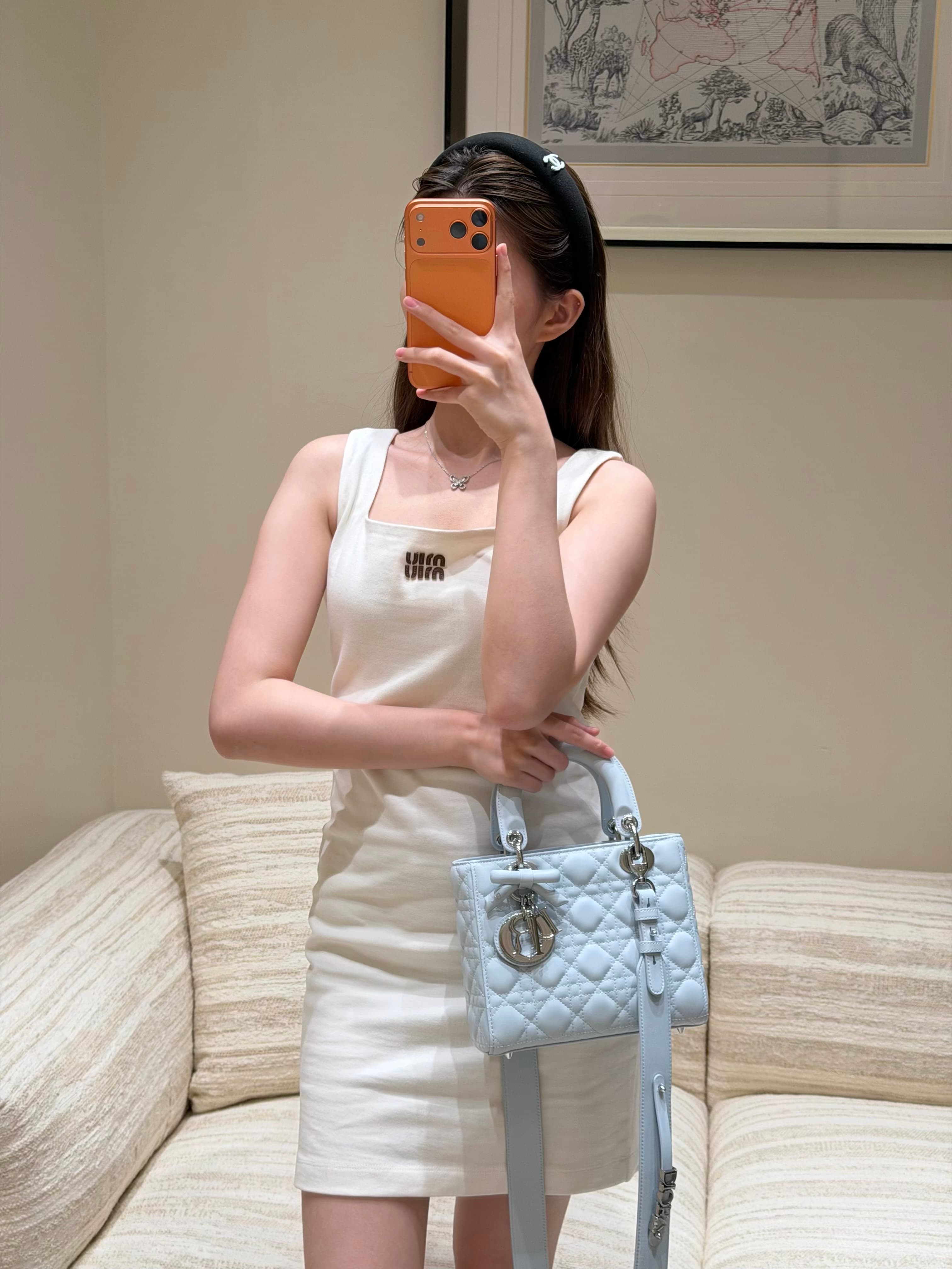 디올 레이디 디 보우 시리즈 그레이