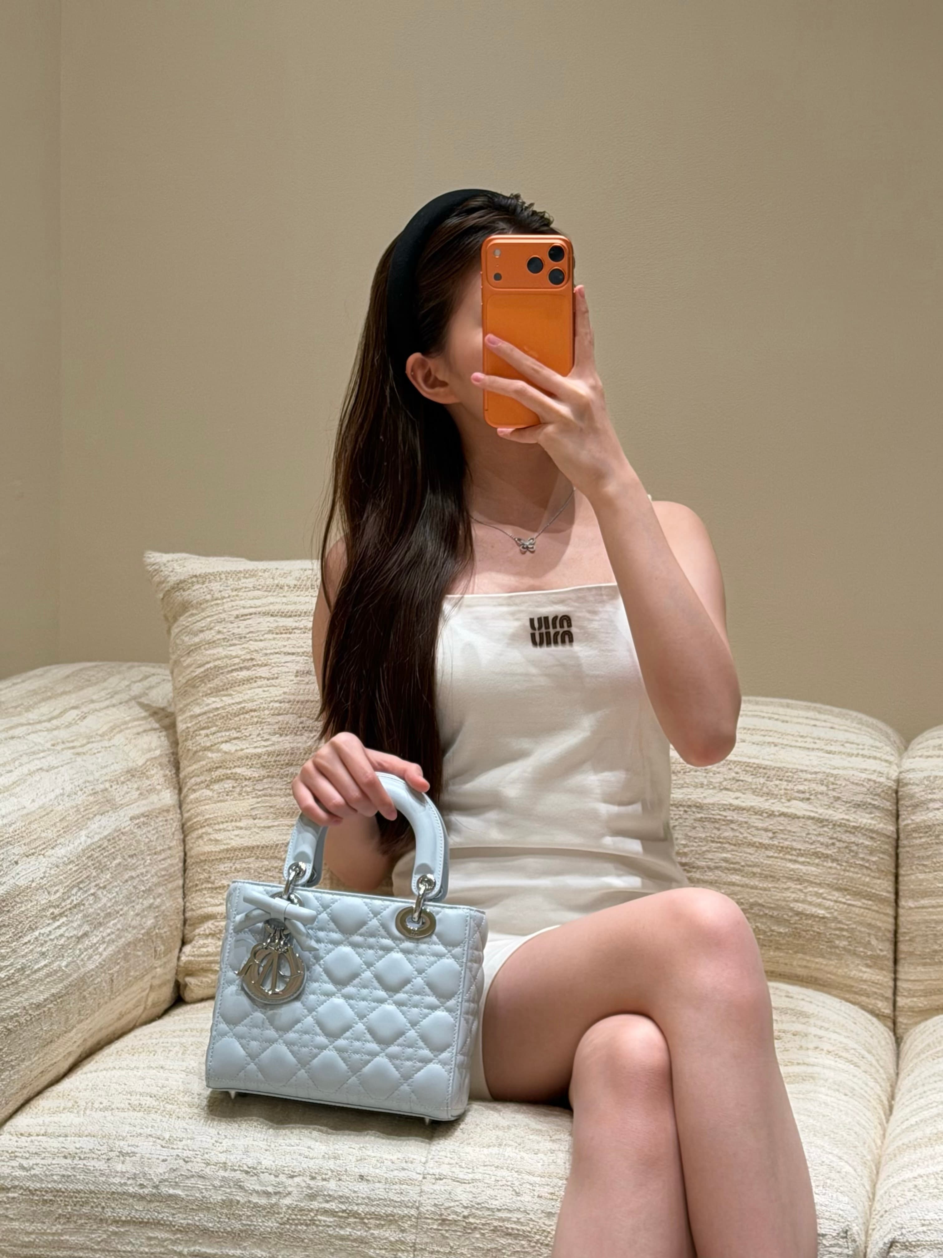 디올 레이디 디 보우 시리즈 그레이