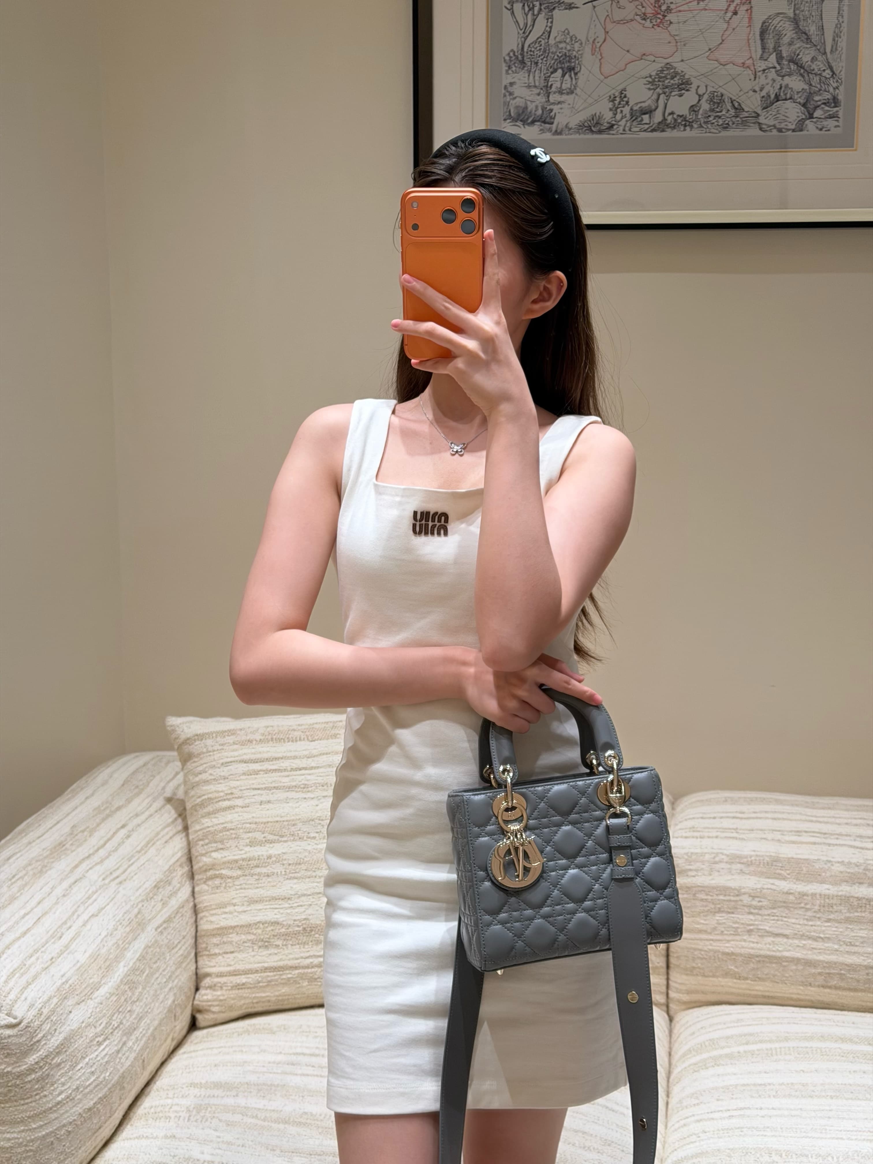 디올 레이디 디올 컬렉션 그레이