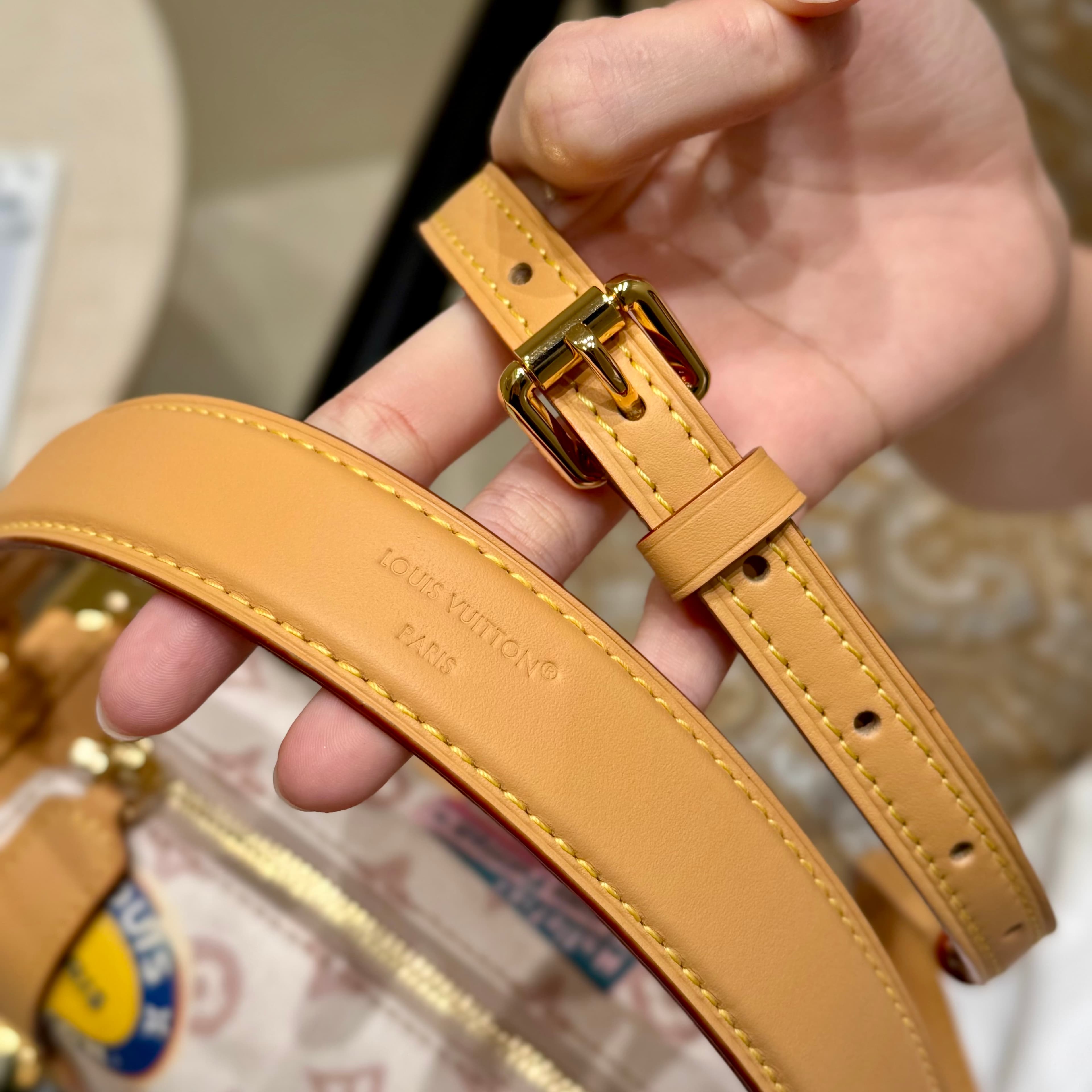 루이비통 사이드 트렁크 MM (멀티)