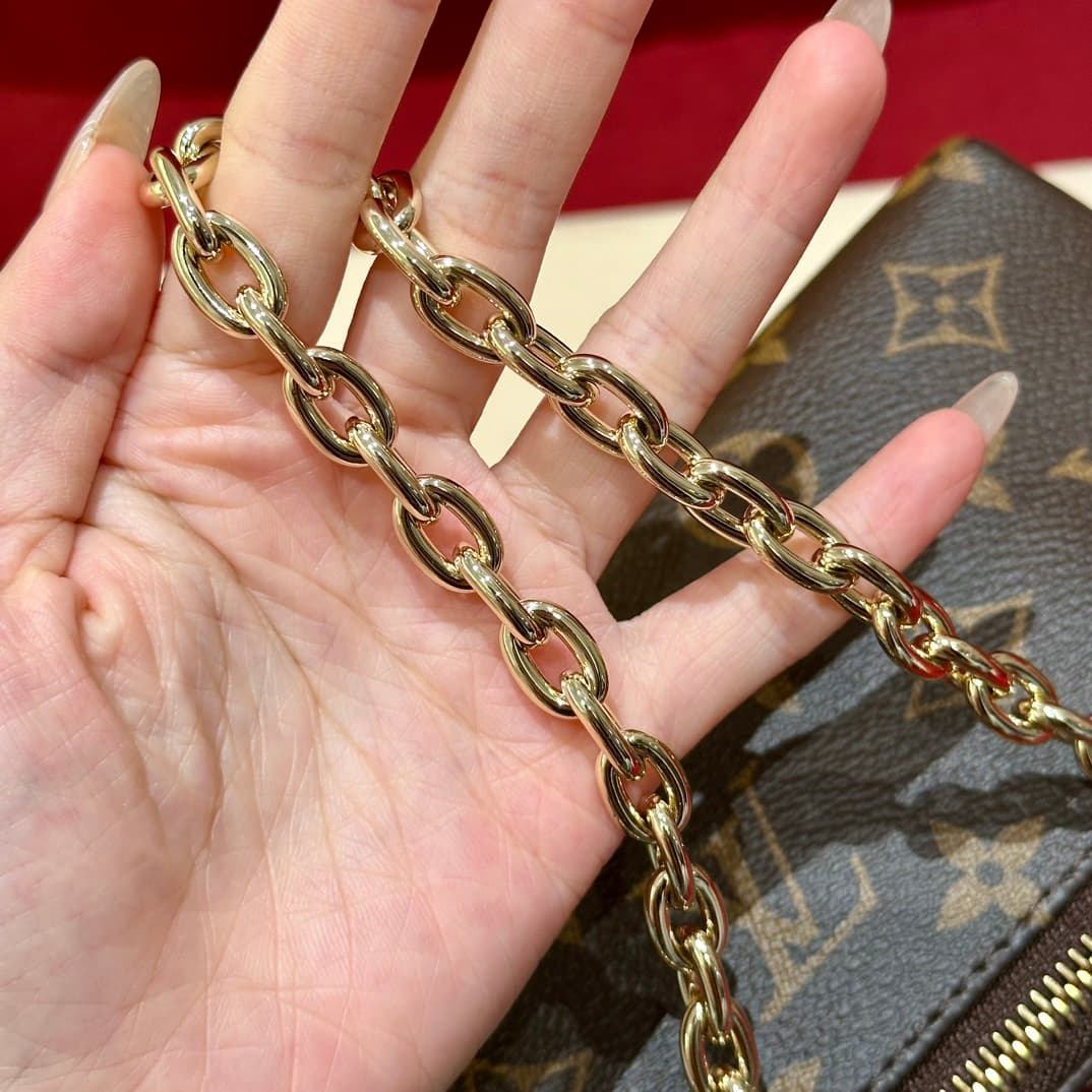 루이비통 블룸 파우치 (브라운)